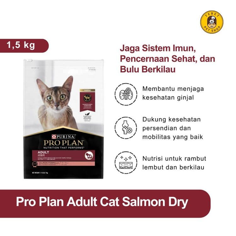 Image of Pro Plan Salmon Adult Cat